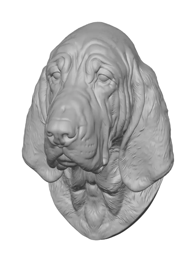3D model for The Noble Hound