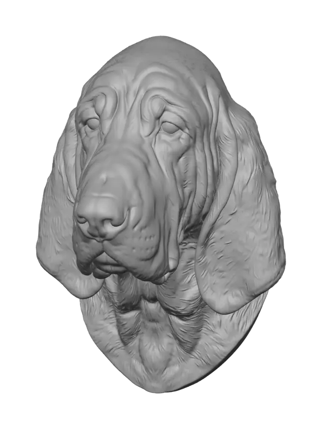 3D model for The Noble Hound