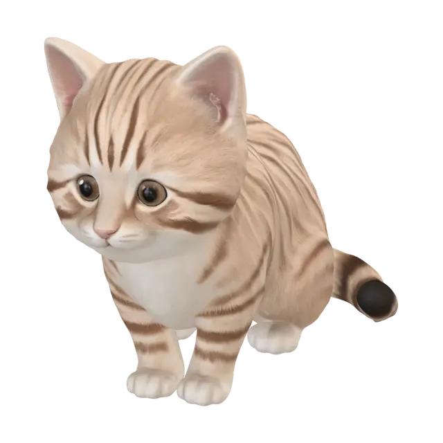 3D model for Dimensions of a Cute Kitten