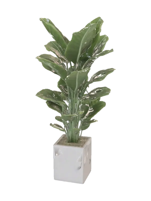 Indoor potted plant, tall tropical leaves, white ceramic rectangular pot, futuristic… - Ready 3D model, vytvořený pomocí AI