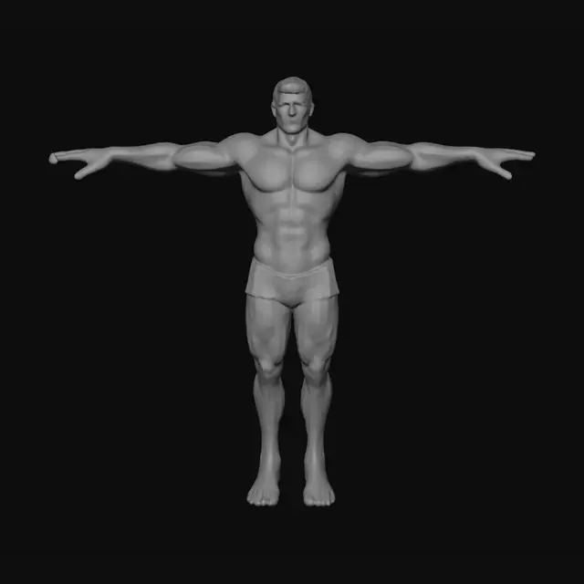 3D model for male Tpose mesh for 3d video game. athletic build,  underwear only