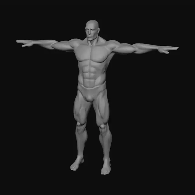 3D model for male Tpose mesh for 3d video game. athletic build,  underwear only