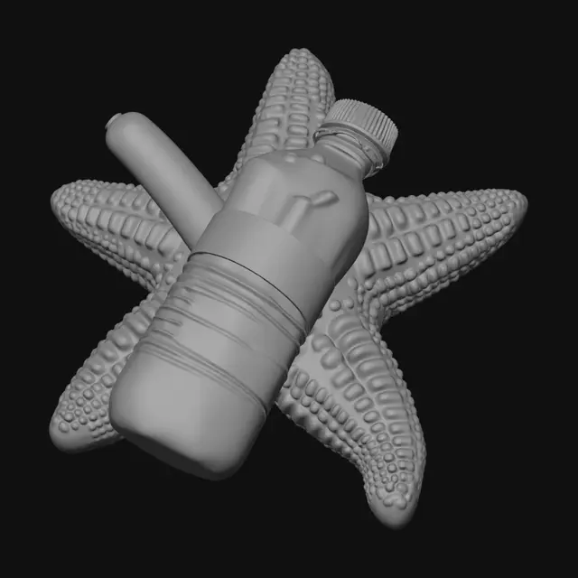 3D model for single solid object, 3d printable, continuous mesh, no floating parts of a starfish, but its made of choklate, with a water bottle attached to it, which contains a hod dog-sausage