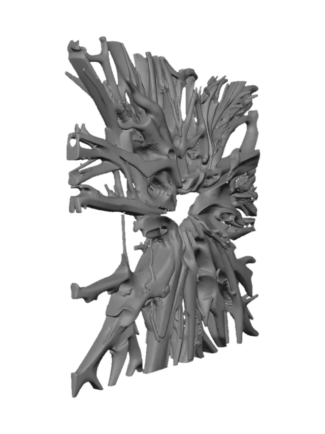 3D model for Driftwood Wreath