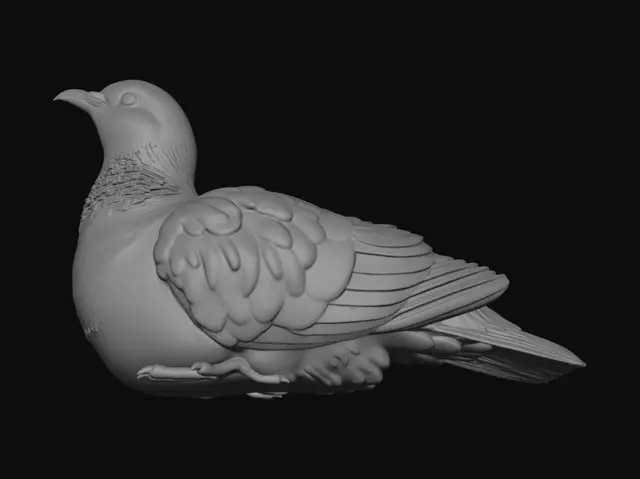 3D model for Erstelle ein druckbares 3D Modell einer normalen Taube, jedoch ein Jungtier. Die Pose liegend. Der Kopf leicht nach rechts oben. Realistische Textur des Federkleids.