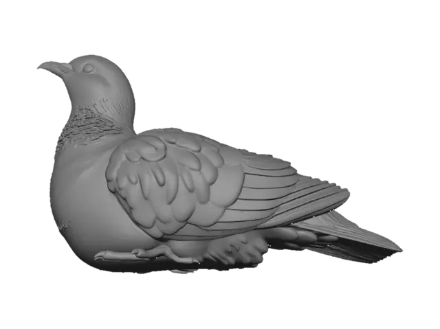 3D model for Erstelle ein druckbares 3D Modell einer normalen Taube, jedoch ein Jungtier. Die Pose liegend. Der Kopf leicht nach rechts oben. Realistische Textur des Federkleids.