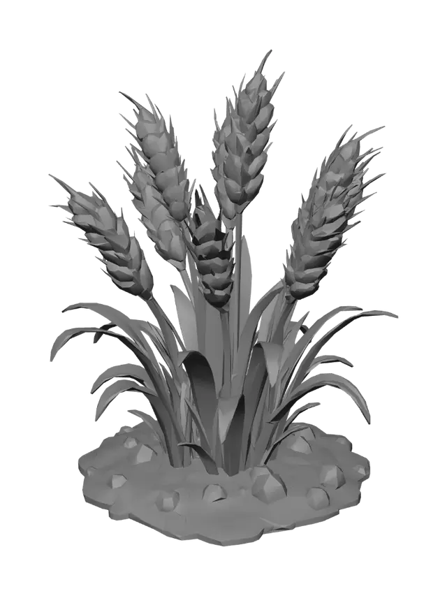 3D model for Golden Wheat