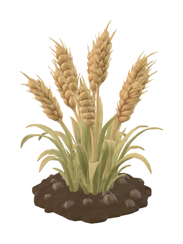 3D model for Golden Wheat