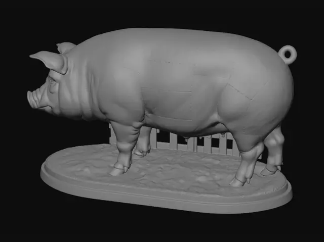 3D model for Pig Anatomy Diagram