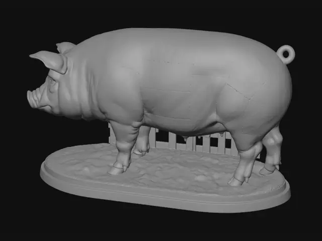 3D model for Pig Anatomy Diagram