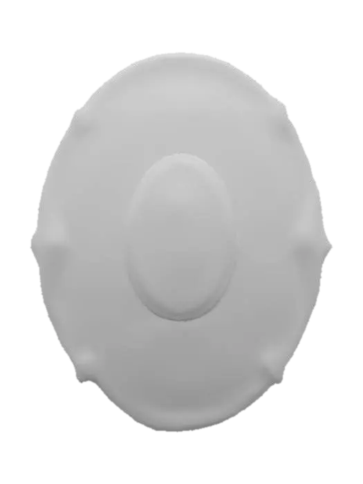 3D model for Ethereal Shield