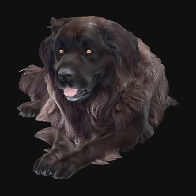 3D model for Gentle Giant