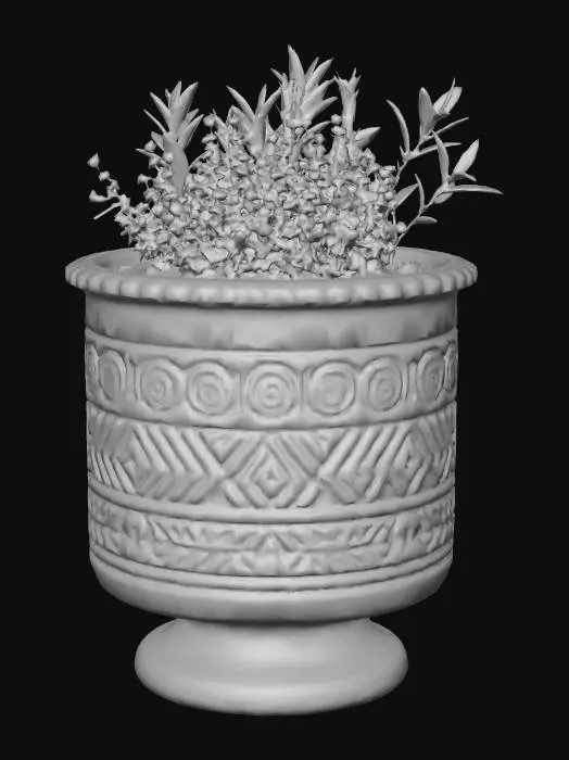3D model for Terracotta Pot with Herbs