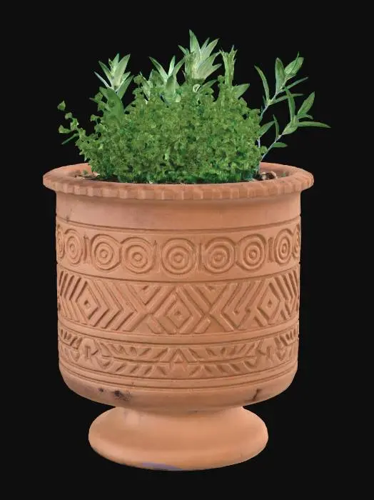 3D model for Terracotta Pot with Herbs