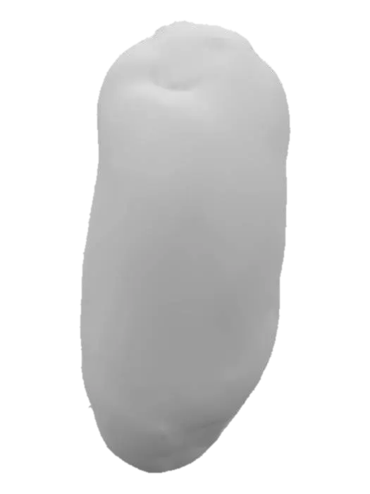 3D model for Peanut Kernel