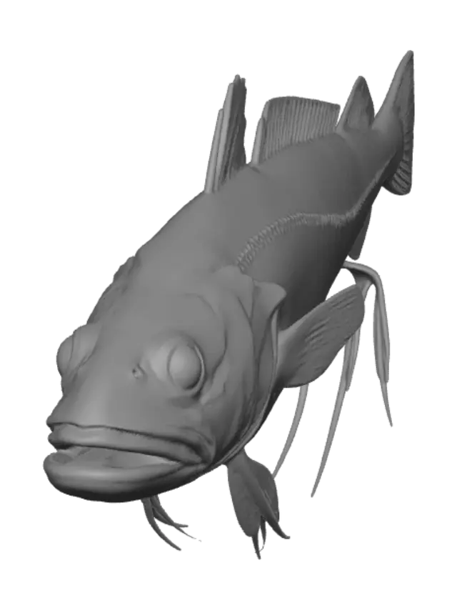 3D model for Phantom Cod