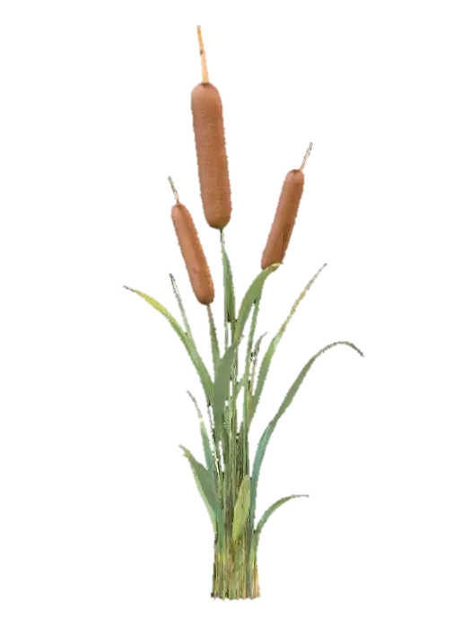 Cattail Cluster - Clusters 3D model, vytvořený pomocí AI