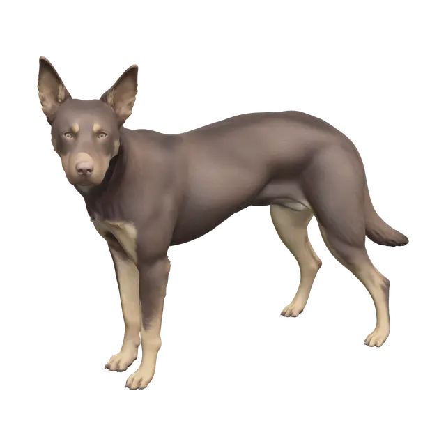 3D model for Stylized Kelpie