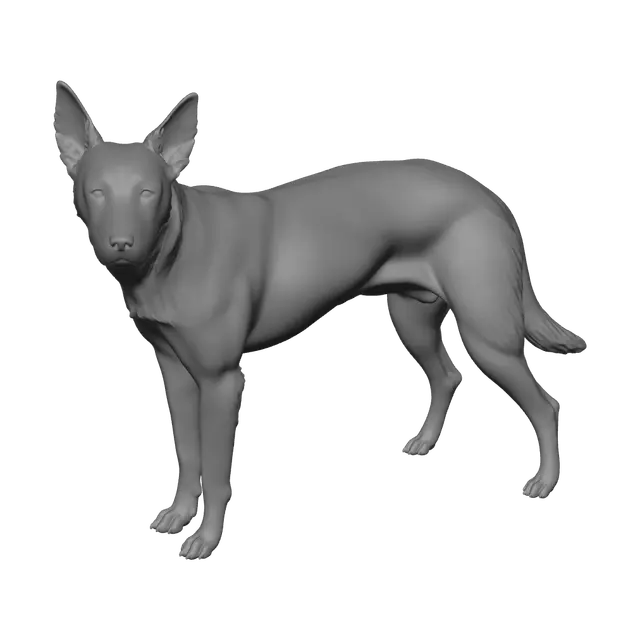 3D model for Stylized Kelpie
