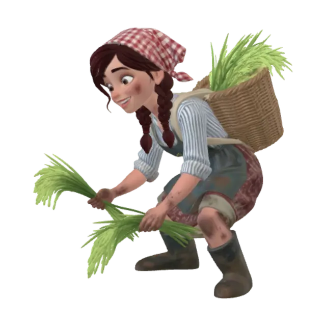3D model for Rice Field Harvest