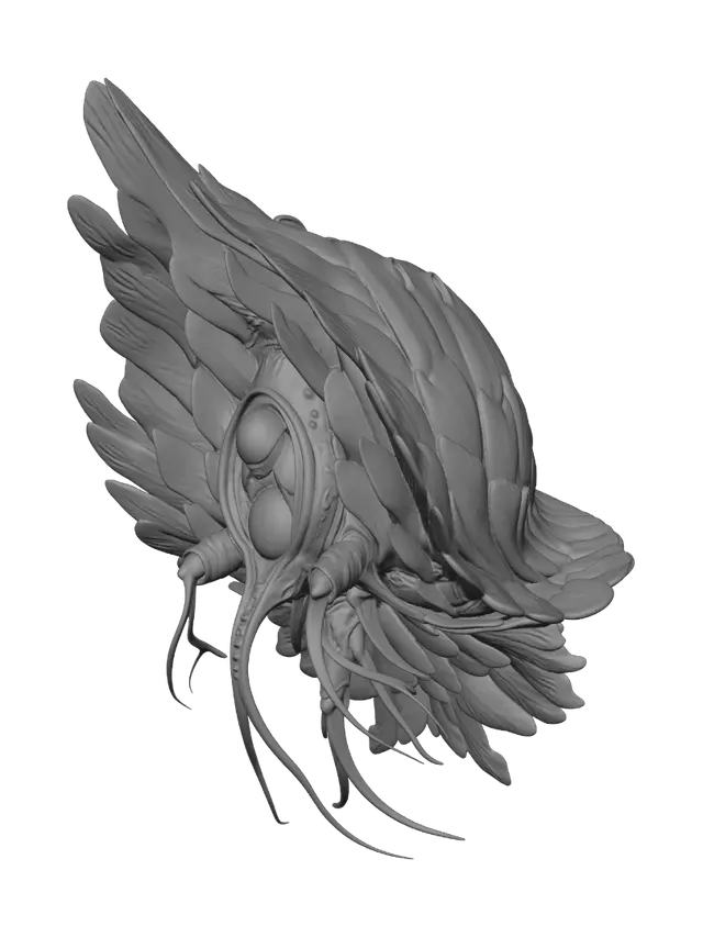 3D model for Nebula Conch