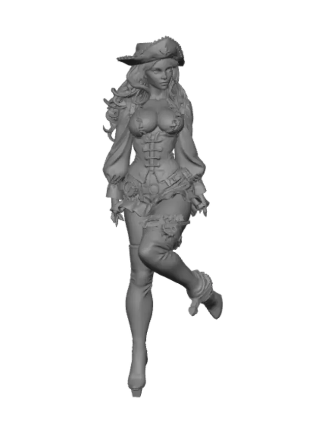 3D model for Піратка