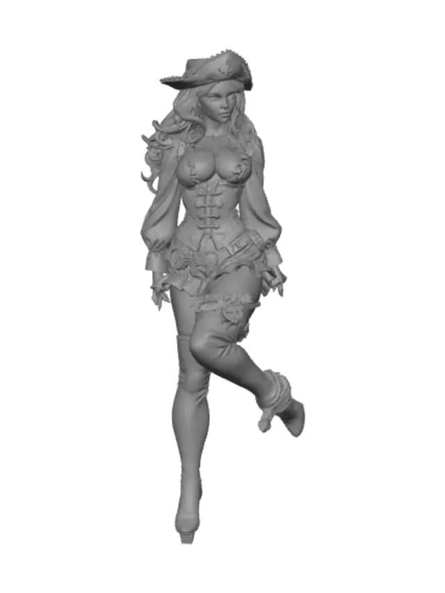 3D model for Піратка