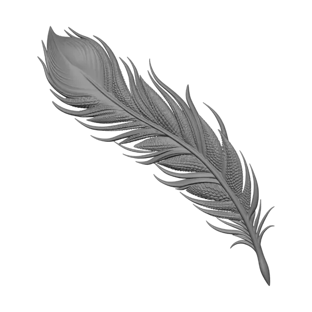 3D model for Ornate Feather on Parchment