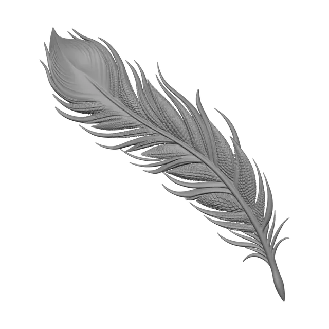 3D model for Ornate Feather on Parchment