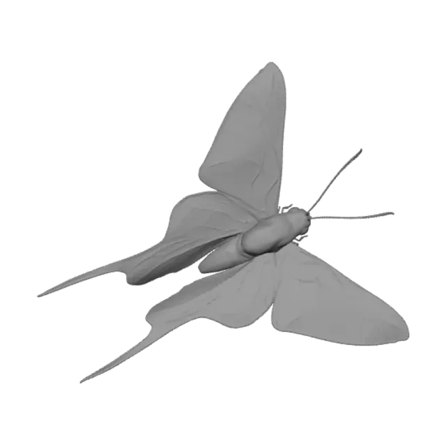 3D model for Blue-striped Swallowtail on a rocky surface