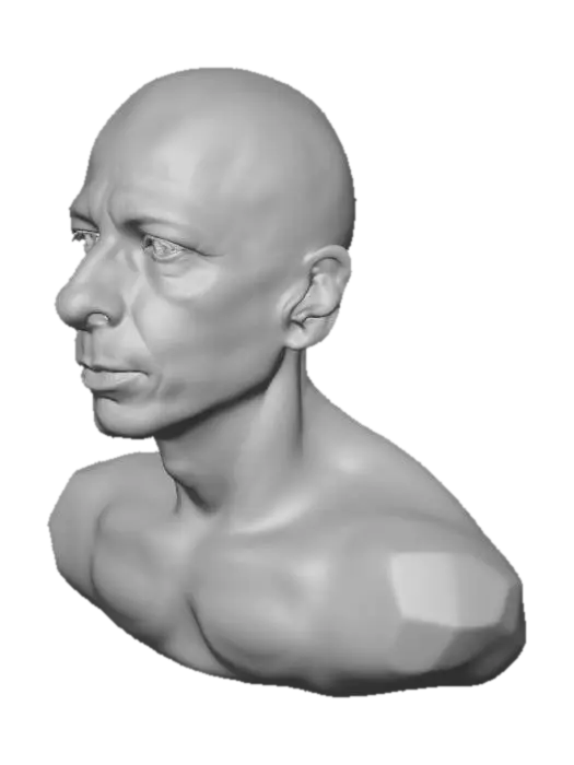 3D model for Close-Up of a Bald Man