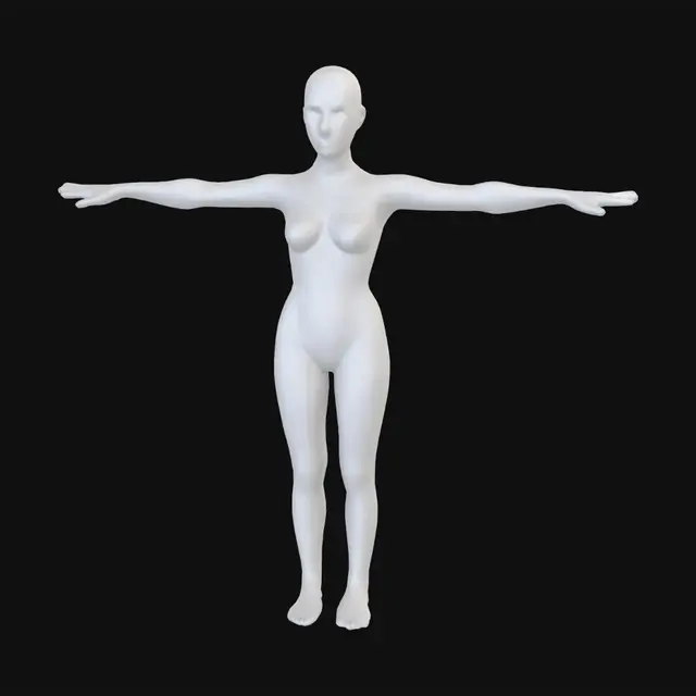 3D model for Butterfly in a T-pose