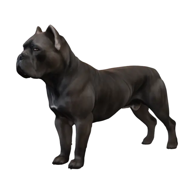 Cane Corso - Gamingcharacter 3D model, vytvořený pomocí AI