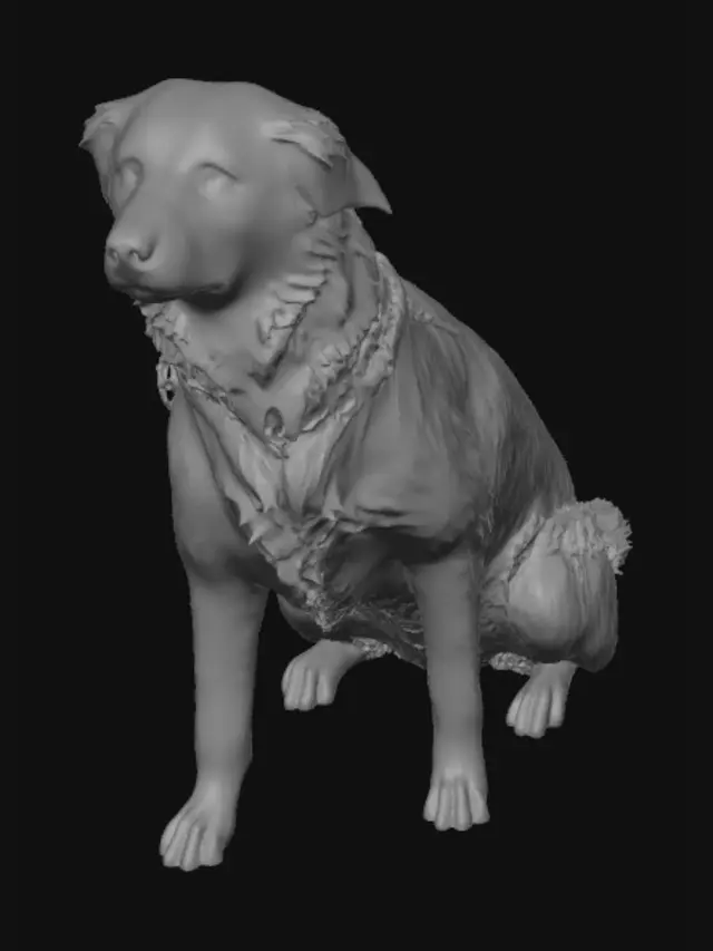 3D model for Dog in a Meadow of Tall Grass