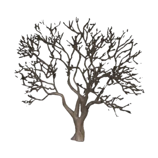 a tree with no leaf medium height medium thickness , have dry branches 3D model, vytvořený pomocí AI