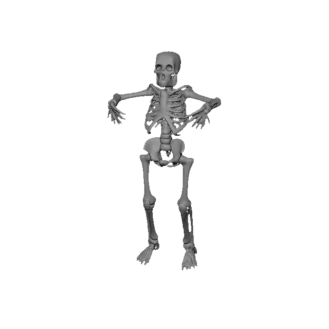 3D model for Un crâne humain en haute définition style réaliste