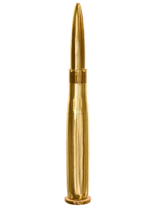 3D model for Bullet Display