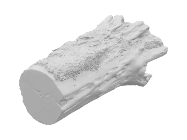 3D model for Mossy Log