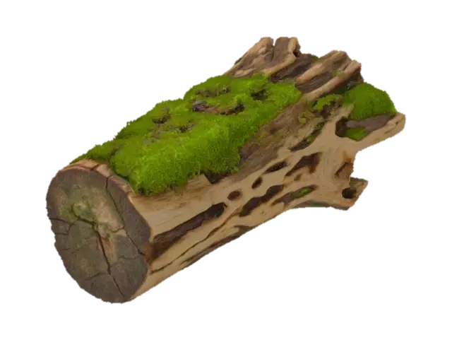 3D model for Mossy Log