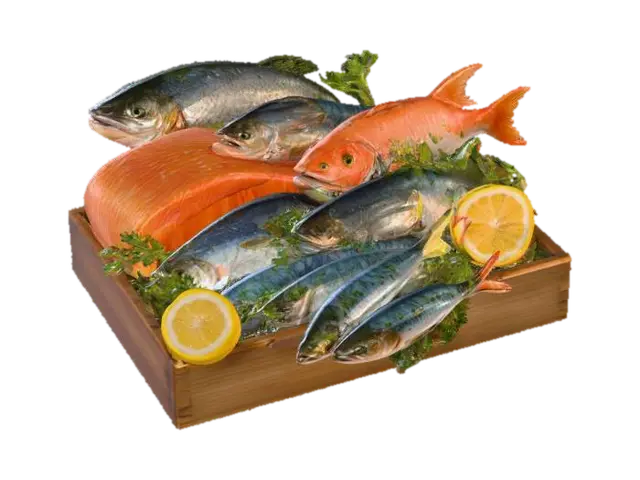 Catch of the Day, #food# - Fishing 3D model, vytvořený pomocí AI