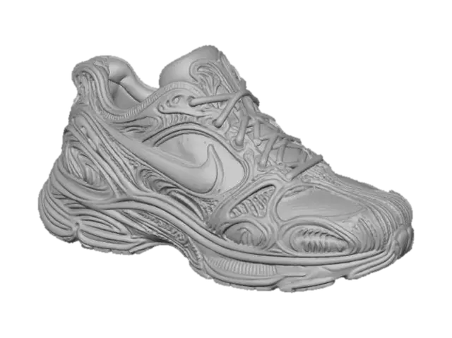 3D model for Biomorphic Sneaker Design