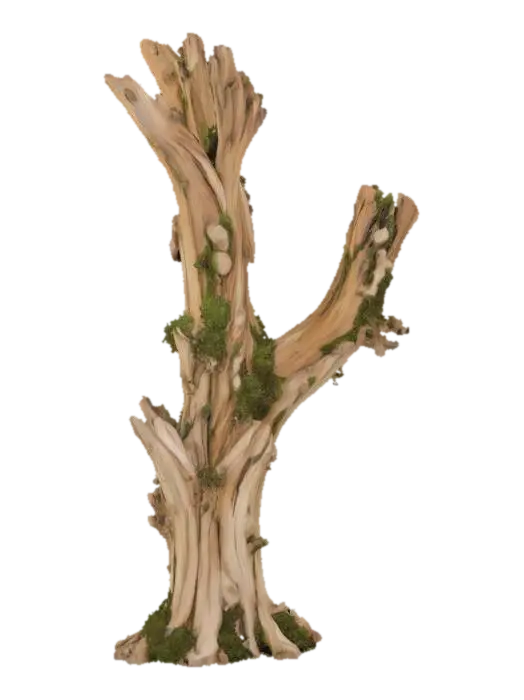 3D model for Sentinel of the Woods