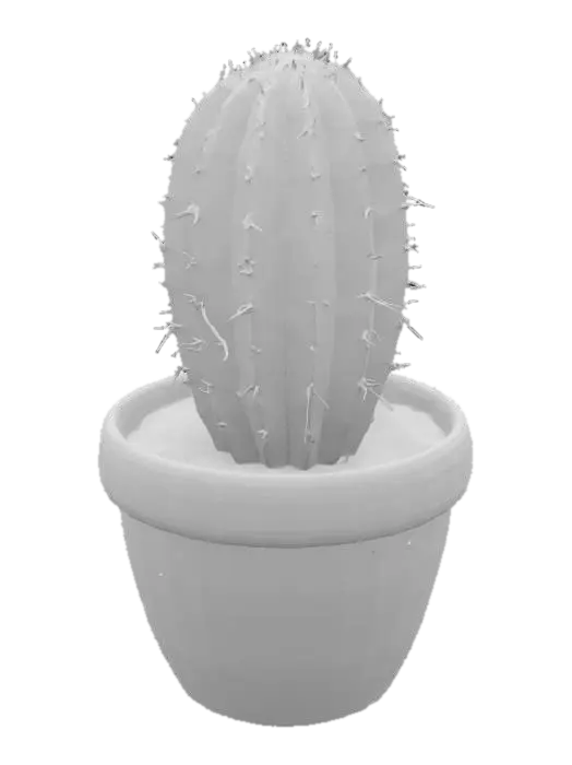 3D model for Cactus in a Clay Pot