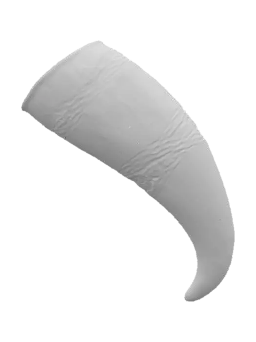 3D model for Drinking Horn
