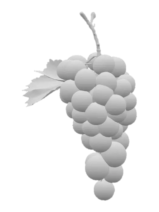 3D model for Grapevine Cluster