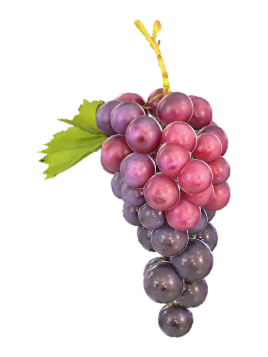 3D model for Grapevine Cluster