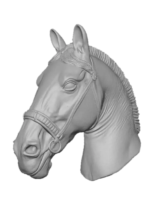 3D model for Equine Majesty