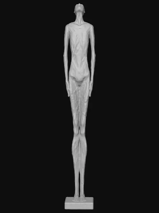 3D model for Emaciated Elegance