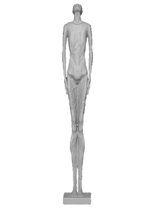 3D model for Emaciated Elegance