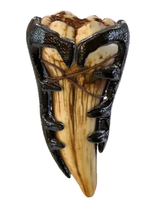 3D model for Fossil Fang Artifact